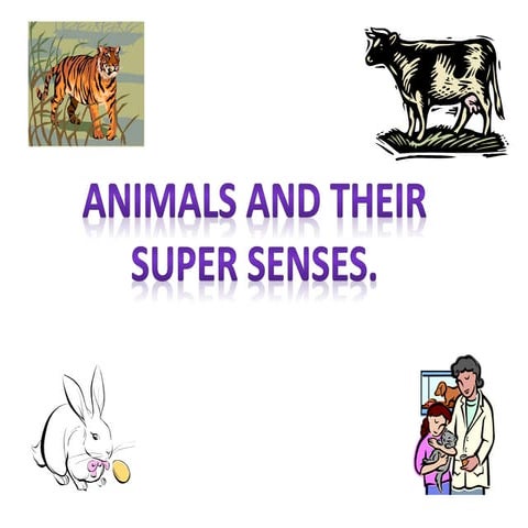 Super Senses for cbse class one students