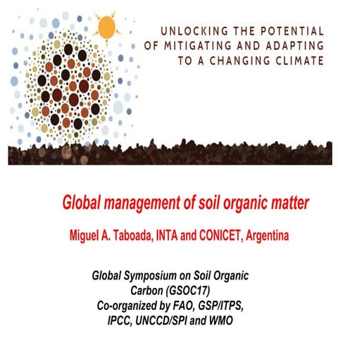 Global management of soil organic matter
