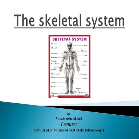 Bones and Joints | PPTX