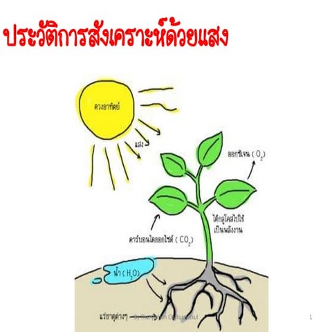 timeline research of the photosynthesis