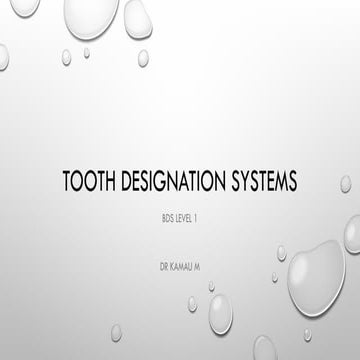1) TOOTH DESIGNATION SYSTEMS. Lecture 2024