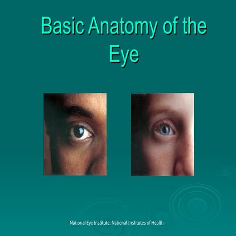 Anterior and posterior segment of eye | PPTX