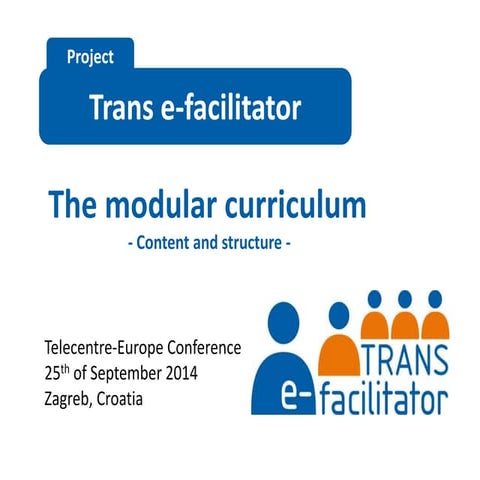 Trans efacilitator curriculum