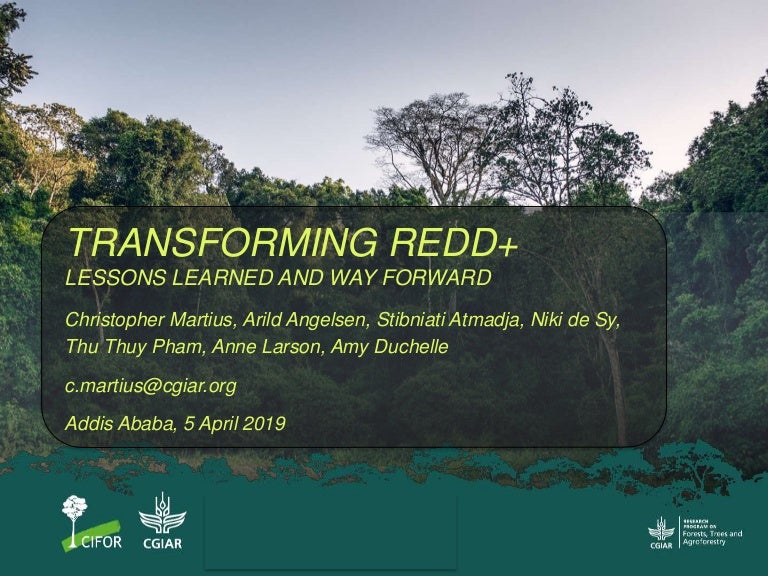 thumbnail of  Transforming REDD+ lessons learned and way forward