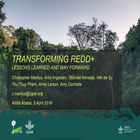 Transforming REDD+ lessons learned and way forward