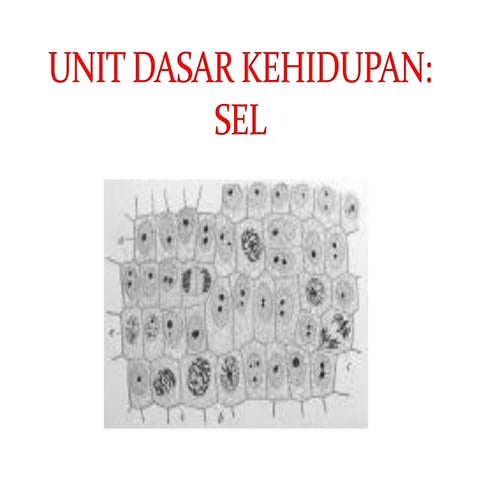 Lkpd sel unit kehidupan | DOCX