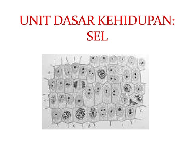 Unit dasar kehidupan dan struktur sel hewan dan tumbuhan