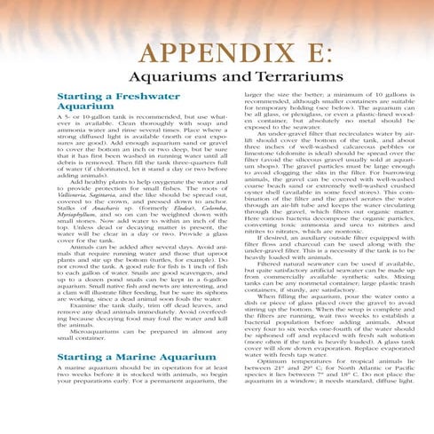 Acuarios y terrarios