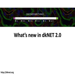What's new in dkNET 2.0