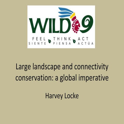 Connectivity - A Global Imperative by Harvey Locke