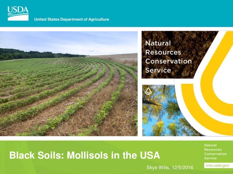 Black Soils Mollisols in the USA