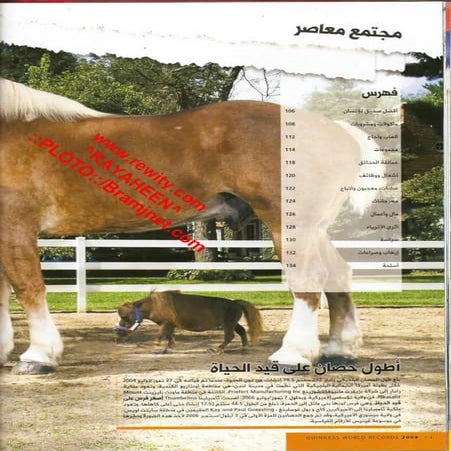 موسوعة غينس للارقام القياسيه 2