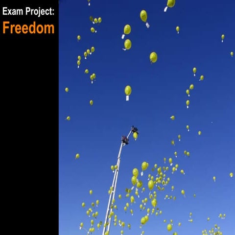 U2 Exam 2007 Freedom Project