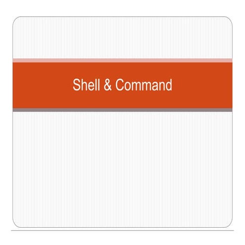 2.1.using the shell | PPT