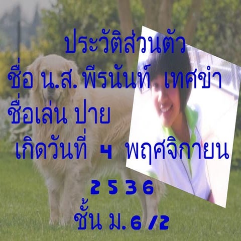 งานนำเสนอ2