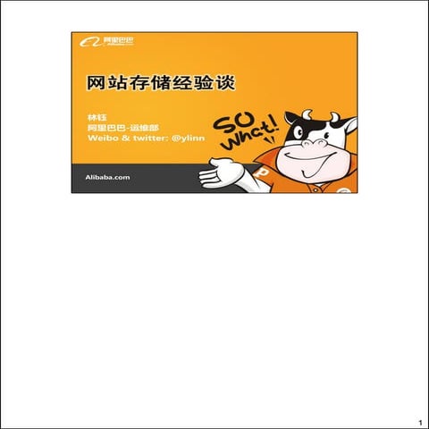 网站存储经验谈pdf