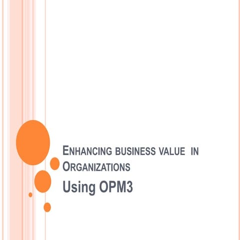 Enhancing business value in organizations using OPM3