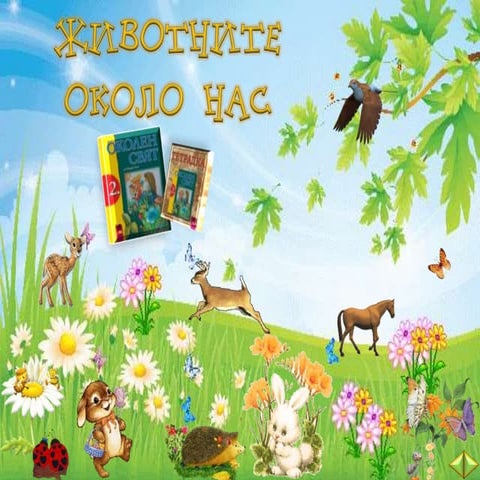 Животните около нас - 2 клас - В. П.