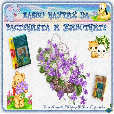 Какво научих за животните и растенията - ОС - 2 клас - В.П.