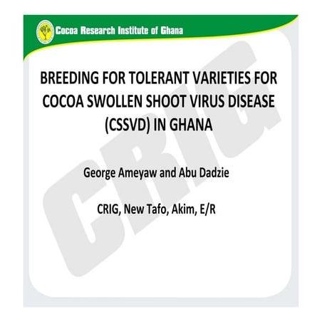 B4FA 2012 Ghana: Cocoa Breeding in Ghana - George Ameyaw | PDF ...
