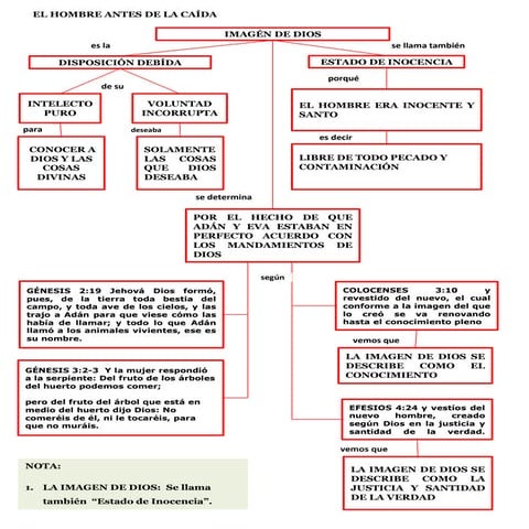 EL HOMBRE ANTES DE LA CAÍDA - TEMA 02
