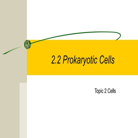 2.2 prokaryotic cells