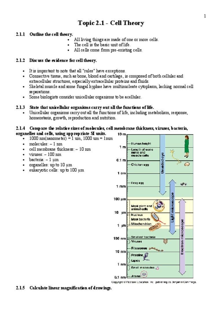 2.1 cell theory notes