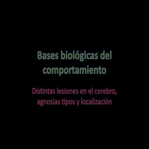 2. agnosias cerberos