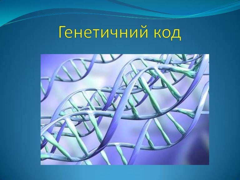 Генетичний код