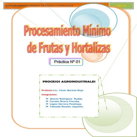 procesamiento minimo