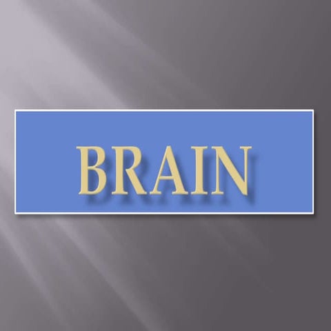 2. brain