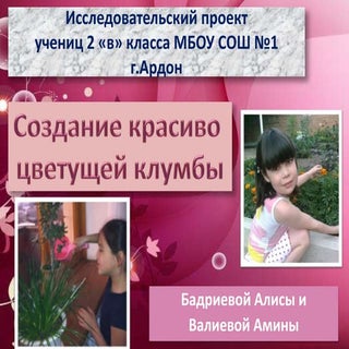  Проект  Бадриевой  Алиса и Валиево...