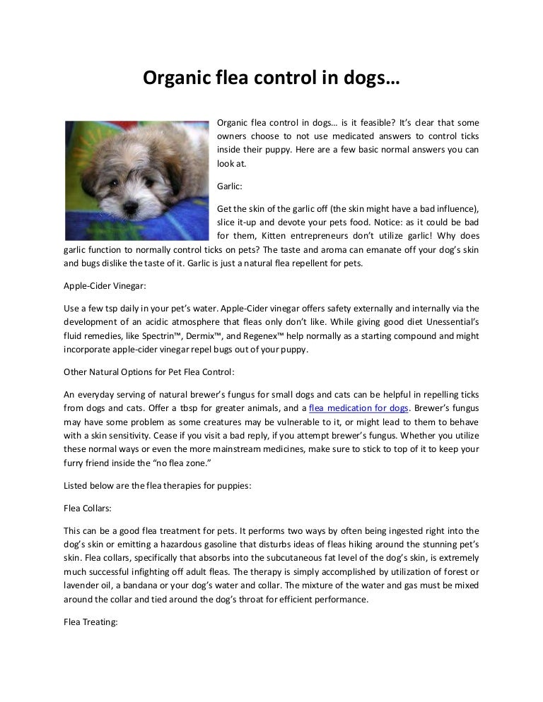 garlic as flea repellent for dogs