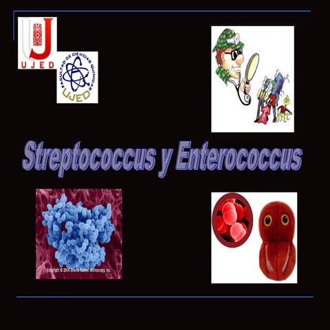 2.1 estreptococcos y enterococcus