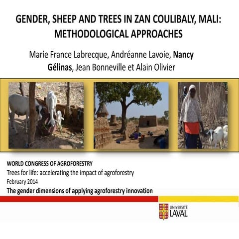 Gender, sheep and trees in zan coulibaly, Mali: methodological approaches