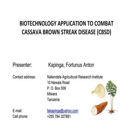 B4FA 2012 Tanzania: Combating cassava brown streak disease - Fortunus Anton K...