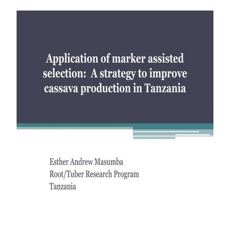 B4FA 2012 Tanzania: Marker-assisted selection in cassava production - Esther ...