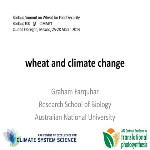 Wheat and climate change