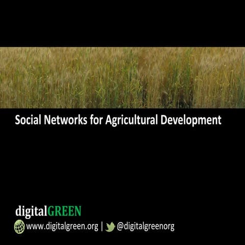 Social Networks for Agricultural Development