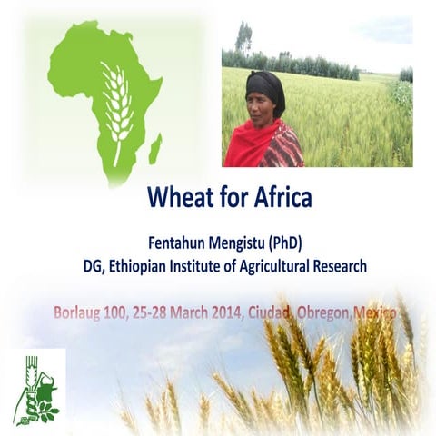 Wheat for Africa