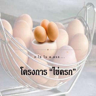 2ตัวอย่างนำเสนอโครงการ