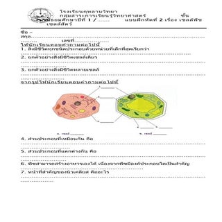 แบบฝึกหัดที่ 2 เซลล์พืช และเซลล์สัตว์