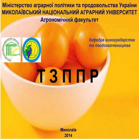 тзппр лекція 2