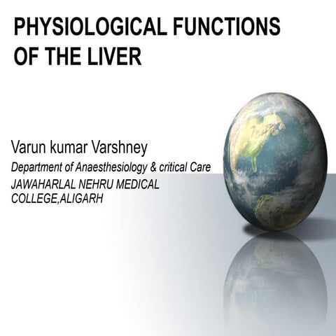 functions-of-the-liver-lft