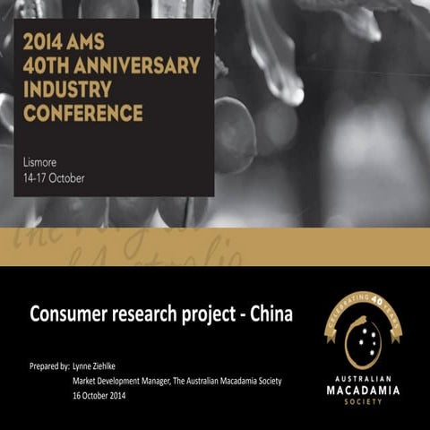 Lynne Ziehlke - Consumer research project - China
