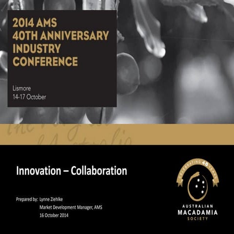 Lynne Ziehlke - Innovation - Collaboration