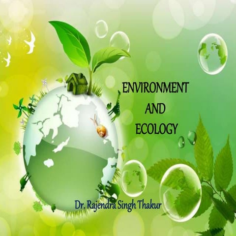 Environment and its segments
