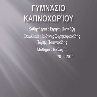 Λίπη και έλαια 