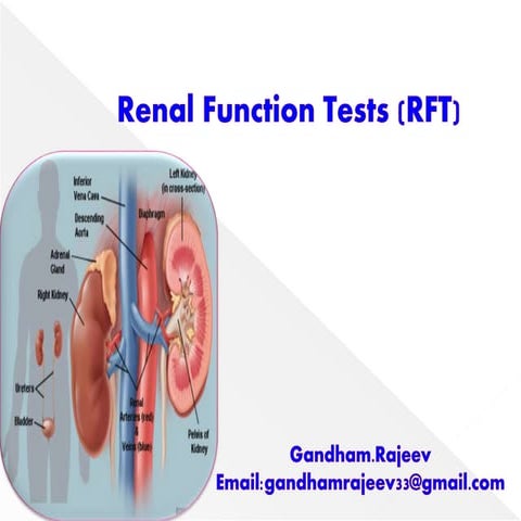 RENAL FUNCTION TESTS (RFT)