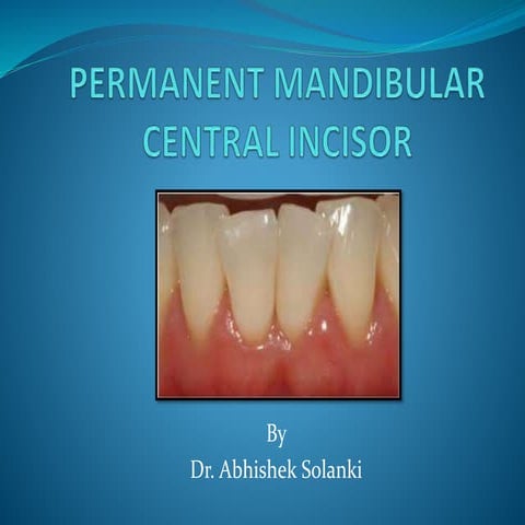 Permanent Mandibular Central Incisor